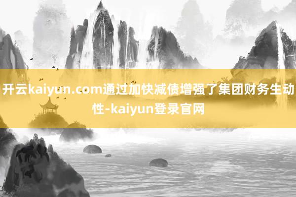 开云kaiyun.com通过加快减债增强了集团财务生动性-kaiyun登录官网
