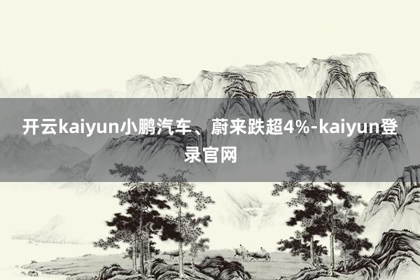 开云kaiyun小鹏汽车、蔚来跌超4%-kaiyun登录官网