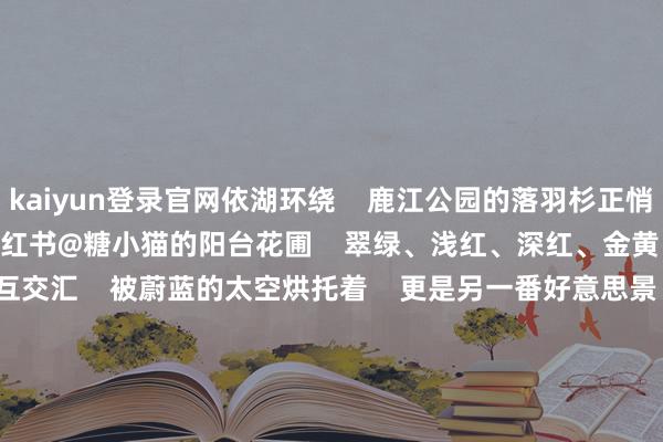 kaiyun登录官网依湖环绕    鹿江公园的落羽杉正悄然革新       图片着手：小红书@糖小猫的阳台花圃    翠绿、浅红、深红、金黄    各色细碎枝桠相互交汇    被蔚蓝的太空烘托着    更是另一番好意思景       图片着手：小红书@糖小猫的阳台花圃       图片着手：小红书@糖小猫的阳台花圃    你还知说念哪些落羽杉不雅赏地？    你的冬日戒指色又是什么颜料？    快来辩驳区留言共享吧！    着手&nbsp;|&nbsp;&nbsp;惠州发布、惠城发布、小红书    本文由惠州后生详细整理  -kaiyun登录官网