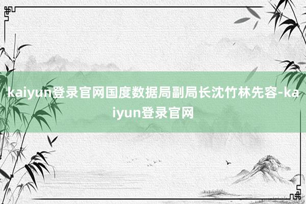 kaiyun登录官网国度数据局副局长沈竹林先容-kaiyun登录官网